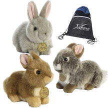 Load image into Gallery viewer, Aurora Miyoni Tots Bundle of 3 Plush: Tan Baby Bunny, Grey Baby Bunny, and Angora Grey