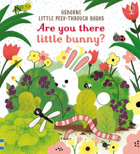 Load image into Gallery viewer, Usborne Little Peek Through Books - Are You There Little Bunny?