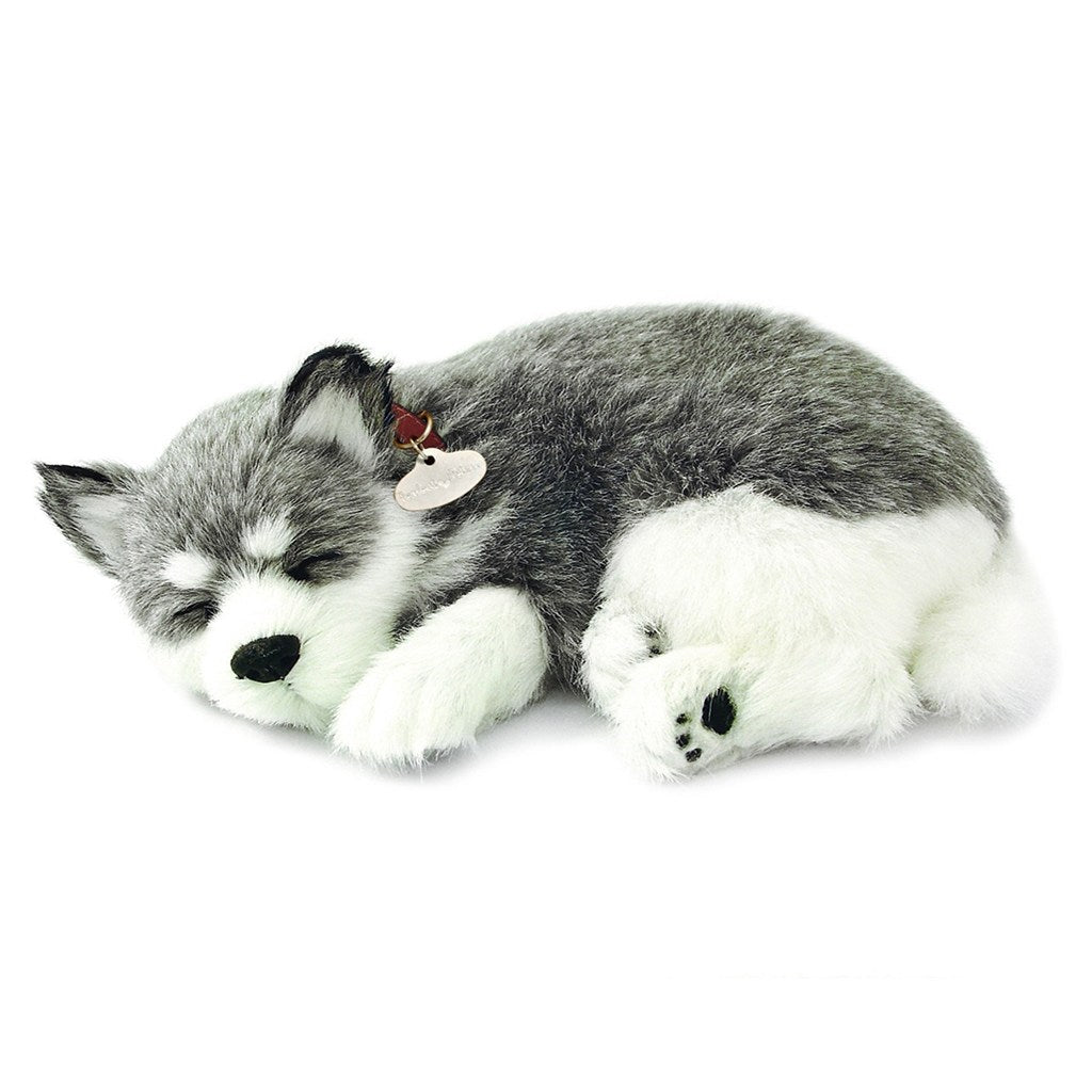 Perfect Petzzz Original Alaskan Husky Lifelike Breathing Stuffed Animal Toy Dog