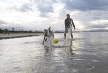 Load image into Gallery viewer, Waboba Fetch Water Ball for Dogs, Yellow