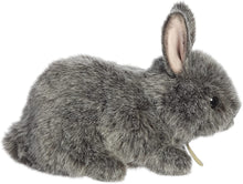 Load image into Gallery viewer, Aurora - Miyoni Tots - 7.5&quot; Netherland Dwarf Bunny - Blue Grey