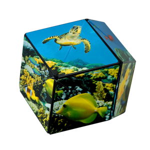 Shashibo Magnetic Puzzle Cube, Under Sea