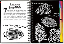 Load image into Gallery viewer, Scratch &amp; Sketch Under the Sea (Trace Along) Hardcover Spiral-Bound