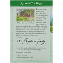 Load image into Gallery viewer, Charleston Tea Garden Green Tea Flavored with Mint 12 Pyramid Tea Bags