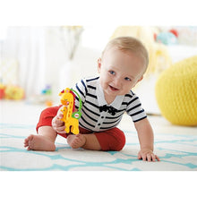 Load image into Gallery viewer, Fisher-Price Playful Pals Gift Set