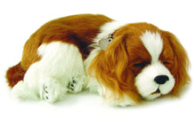 Load image into Gallery viewer, Perfect Petzzz Breathing Cavalier King Charles Plush with Blue Tote