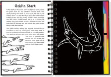 Load image into Gallery viewer, Scratch &amp; Sketch Sharks (Trace Along) Hardcover Spiral-Bound