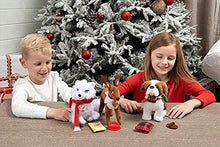Load image into Gallery viewer, The Elf on the Shelf: an Arctic Fox Tradition, with Elf Pets Good Tidings Scarf and Toy Set