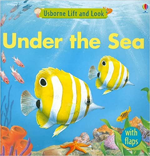 Usborne Lift and Look Board Book - Under the Sea