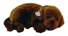 Load image into Gallery viewer, Perfect Petzzz Chocolate Lab Plush with Blue Tote For Plush Breathing Pet