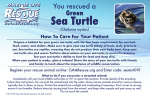 Marine Life Rescue Project Sea Turtle in Rescue Stretcher Plush