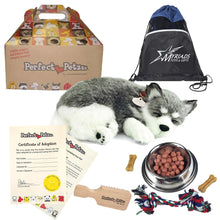 Load image into Gallery viewer, Perfect Petzzz Breathing Husky Puppy Set with Dog Food, Treats, Chew Toy &amp; Drawstring Bag