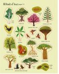 Load image into Gallery viewer, First Sticker Book Trees Paperback