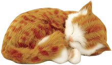 Load image into Gallery viewer, Perfect Petzzz Original Orange Tabby Lifelike Breathing Stuffed Toy Cat Plush