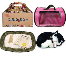 Load image into Gallery viewer, Perfect Petzzz Black and White Shorthair Kitten Plush with Pink Tote For Plush Breathing Pet