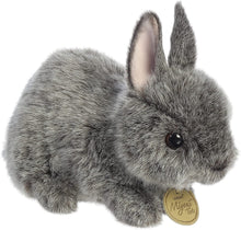 Load image into Gallery viewer, Aurora - Miyoni Tots - 7.5&quot; Netherland Dwarf Bunny - Blue Grey
