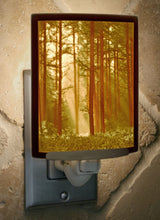 Load image into Gallery viewer, Woodland Sunbeams Curved Porcelain Lithophane Night Light