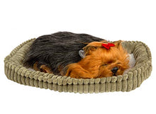 Load image into Gallery viewer, Yorkie Authentic Breathing Petzzz by Perfect Petzzz