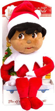 Load image into Gallery viewer, The Elf on the Shelf: A Christmas Tradition - Brown Eyed Boy and Brown Eyed Girl 17&quot; Plushee Pals Set with Zippered Joy Bag