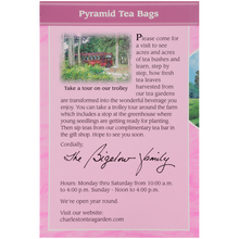 Load image into Gallery viewer, Charleston Tea Garden Rockville Raspberry Pyramid Teabags, 12 Count