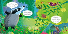 Load image into Gallery viewer, Usborne Lift-the-Flap Play Hide &amp; Seek with Fox Board Book