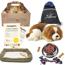 Load image into Gallery viewer, Perfect Petzzz Breathing Cavalier King Charles Pet Set: Dog Food, Treats, Chew Toy &amp; Drawstring Bag