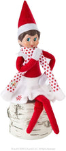Load image into Gallery viewer, The Elf on the Shelf Starter Set: Dark-Tone Girl Elf, Snowflake Outfit, Elf Story DVD, Arctic Fox &amp; Scout Elves Tools and Tips Kit