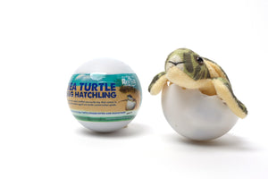 Marine Life Rescue Project - Sea Turtle Hatchling Egg