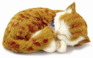 Perfect Petzzz Orange Tabby Cat with Orange Tabby Kitten with Myriads Drawstring Bag