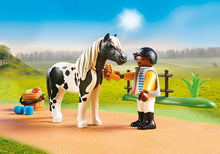 Load image into Gallery viewer, PLAYMOBIL Country Collectible Lewitzer Pony