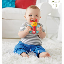 Load image into Gallery viewer, Fisher-Price Playful Pals Gift Set