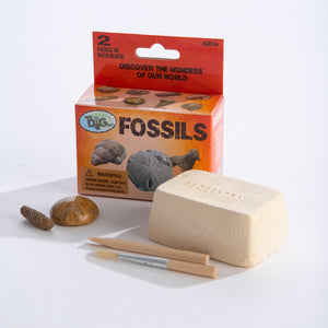 GeoCentral Mini Excavation Kit: Fossils