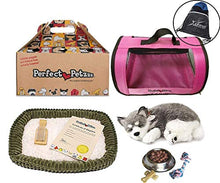 Load image into Gallery viewer, Perfect Petzzz Husky Breathing Pet, Pink Tote, Dog Food, Treats, Chew Toy &amp; Myriads Drawstring Bag