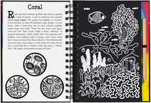 Load image into Gallery viewer, Scratch &amp; Sketch Coral Reefs (Trace Along) (Scratch and Sketch Trace-Along) Hardcover Spiral-Bound