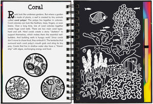 Scratch & Sketch Coral Reefs (Trace Along) (Scratch and Sketch Trace-Along) Hardcover Spiral-Bound