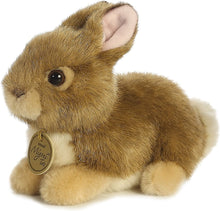 Load image into Gallery viewer, Aurora World Miyoni Baby Bunny Plush, Tan - 7 inches