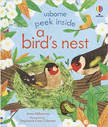 Usborne Peek Inside a Bird's Nest Board Book – Lift the flap