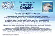 Load image into Gallery viewer, Marine Life Rescue Project Dolphin in Rescue Stretcher Plush
