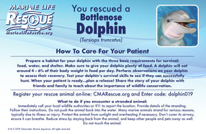 Marine Life Rescue Project Dolphin in Rescue Stretcher Plush