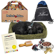 Load image into Gallery viewer, Perfect Petzzz Breathing Black Lab Plush Dog, Dog Food, Treats, Chew Toy &amp; Myriads Drawstring Bag