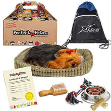 Load image into Gallery viewer, Perfect Petzzz Plush Yorkie Breathing Dog with Dog Food, Treats, Chew Toy &amp; Myriads Drawstring Bag