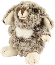 Load image into Gallery viewer, Peter Pauper Press Hug A Bunny Kit - Plush Toy Rabbit and Book