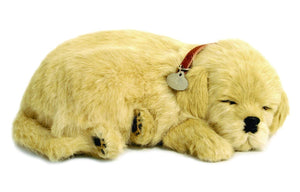 Perfect Petzzz Golden Retriever Dog and Golden Retriever Puppy with Food and a Myriads Drawstring Bag