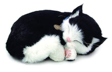 Load image into Gallery viewer, Perfect Petzzz Plush Black &amp; White Breathing Cat Pet, Food, Treats, Chew Toy &amp; Drawstring Bag