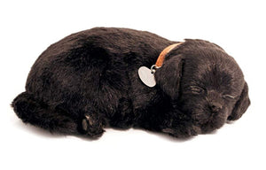 Perfect Petzzz Breathing Black Lab Plush Dog, Dog Food, Treats, Chew Toy & Myriads Drawstring Bag