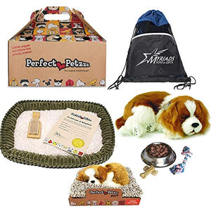 Perfect Petzzz Cavalier King Charles Dog with Cavalier King Charles Puppy and Food, with Myriads Drawstring Bag