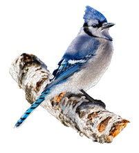 Load image into Gallery viewer, Madd Capp I AM BLUE JAY Animal-Shaped Jigsaw Puzzle, 300 Pieces