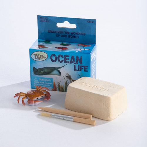 GeoCentral Mini Excavation Kit Ocean Animals