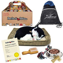 Load image into Gallery viewer, Perfect Petzzz Plush Black &amp; White Breathing Cat Pet, Food, Treats, Chew Toy &amp; Drawstring Bag