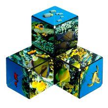 Load image into Gallery viewer, Shashibo Magnetic Puzzle Cube, Under Sea